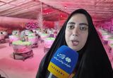 جوانان بابلی نذر عشق را ادا کردند