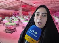 جوانان بابلی نذر عشق را ادا کردند
